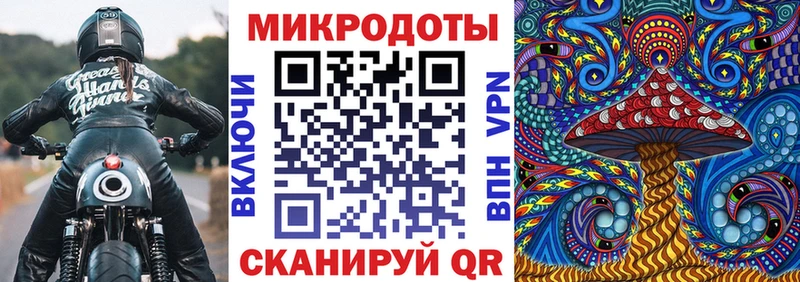 Галлюциногенные грибы прущие грибы  Талдом 